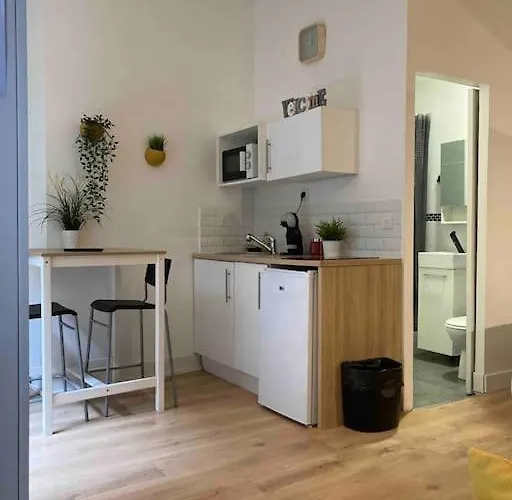 Appartement N1 Hypercentre Rue Saint Nicolas